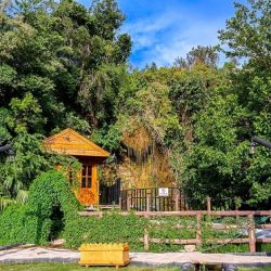 لا إصابات بين السعوديين في حريق فندق سوفيتيل الجزيرة بالقاهرة