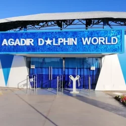 Agadir Dolphin Park offers daily entertainment programs.