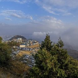 جيني ويلو بلس تطلقان شراكة استراتيجية لدمج خدمات النقل الفاخر في تطبيق موحد