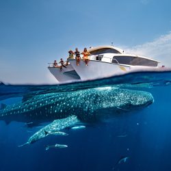 جمعية إنسان ومجموعة أباريل يعلنان عن مبادرة وطنية لدعم الأيتام بموسم العودة إلى المدارس