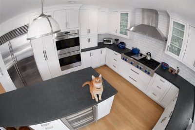 أصحاب الحيوانات الأليفة في الإمارات يلجؤون إلى تقنيات الأمن الذكي