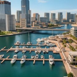 إعادة انتخاب الدكتور أحمد الشريف نائبًا لرئيس الاتحاد الدولي للرياضة للجميع (FISpT)