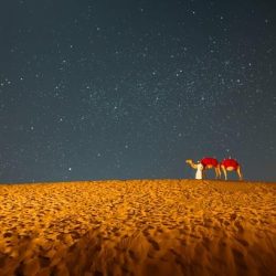 يوم التأسيس… حين تحوّل الحلم إلى وطنٍ خالد