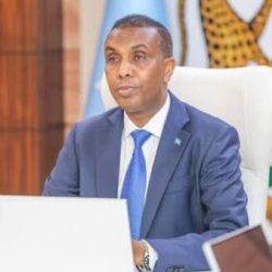 وحدة مالي خيار استراتيجي لا يقبل المساومة