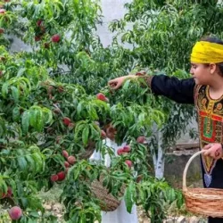 مفاجآت صيف دبي تطلق أول كرنفال للعودة إلى المدارس في بالم جميرا مول