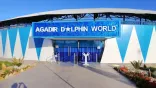 Agadir Dolphin Park offers daily entertainment programs.