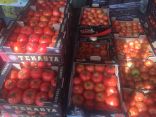 80 طن من الطماطم التركية تسهم في استقرار أسعار أسواق الخضروات في رمضان