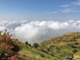 الضباب يغازل قمم جبال محافظة المندق