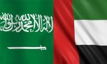 دولة الإمارات تدين استهداف الحوثيين السعودية بطائرات مفخخة