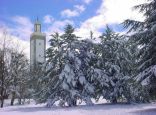 الثلوج  تنعش السياحة بمدينة إفران المغربية