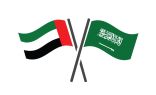 دولة الإمارات تدين بشدة محاولات الحوثيين استهداف السعودية بصاروخين باليستيين