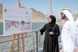 الشيخ محمد بن راشد يعتمد 5.8 مليار درهم لمشاريع الكهرباء والمياه في المناطق الشمالية