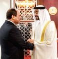 الشيخ محمد بن زايد يستقبل السيسي في الإمارات