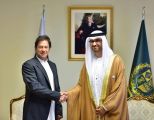 الإمارات تبحث تعزيز العلاقات مع باكستان في الاقتصاد