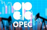 دولة الإمارات: إجراءات «أوبك+» الحالية لدعم سوق النفط كافية