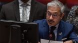 دولة الإمارات: تفعيل الدور العربي لحل الأزمة السورية لا غنى عنه للاستقرار
