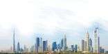 دولة الإمارات بوابة العالم إلى أفريقيا