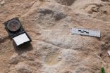 السعودية: اكتشاف أقدام إنسان تعود لأكثر من 85 ألف عام