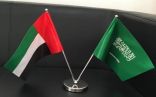 بيان مشترك صادر عن وزارة الخارجية السعودية ووزارة الخارجية والتعاون الدولي الإماراتية