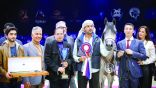 مربط دبي الأفضل في بطولة العالم لجمال الخيل