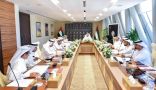 مجلس الإمارات للمستثمرين بالخارج برئاسة المنصوري يعتمد ميزانية 2019