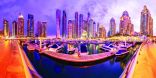 دولة الإمارات وسلطنة عمان : شراكات استراتيجية وفرص استثمارية واعدة