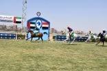 كأس رئيس الدولة للخيول العربية تنطلق من القاهرة