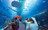 المنشآت الترفيهية والسياحية في دبي