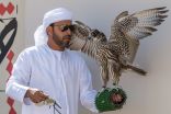 قوست يستعيد صدارة دوري الإمارات للصيد بالصقور