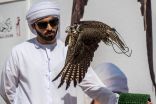 300 طيراً تشارك في الجير تبع ببطولة فزاع للصيد بالصقور