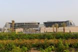 جامعة الإمارات وأكاديمية هاسو بلاتنر تُطلقان مركزاً للتفكير التصميمي