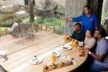 تناول الغداء مع الفهود في  حديقة الإمارات للحيوانات