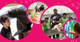 حديقة الإمارات للحيوانات تطلق”مخيم الربيع”  الزاخر بالأنشطة الممتعة للأطفال
