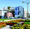 بلدية دبي تطلق مبادرات مجتمعية في عام زايد